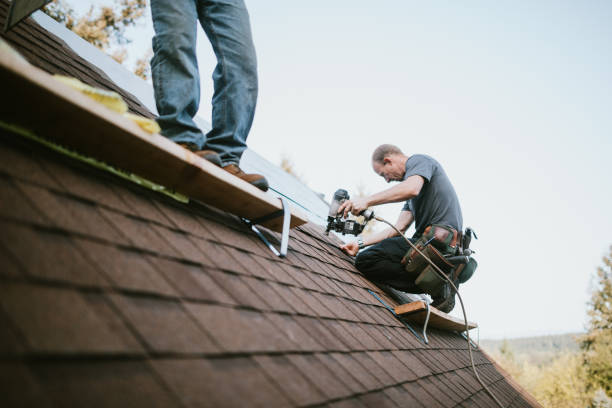 Best Roof Gutter Cleaning  in North Shore, CA